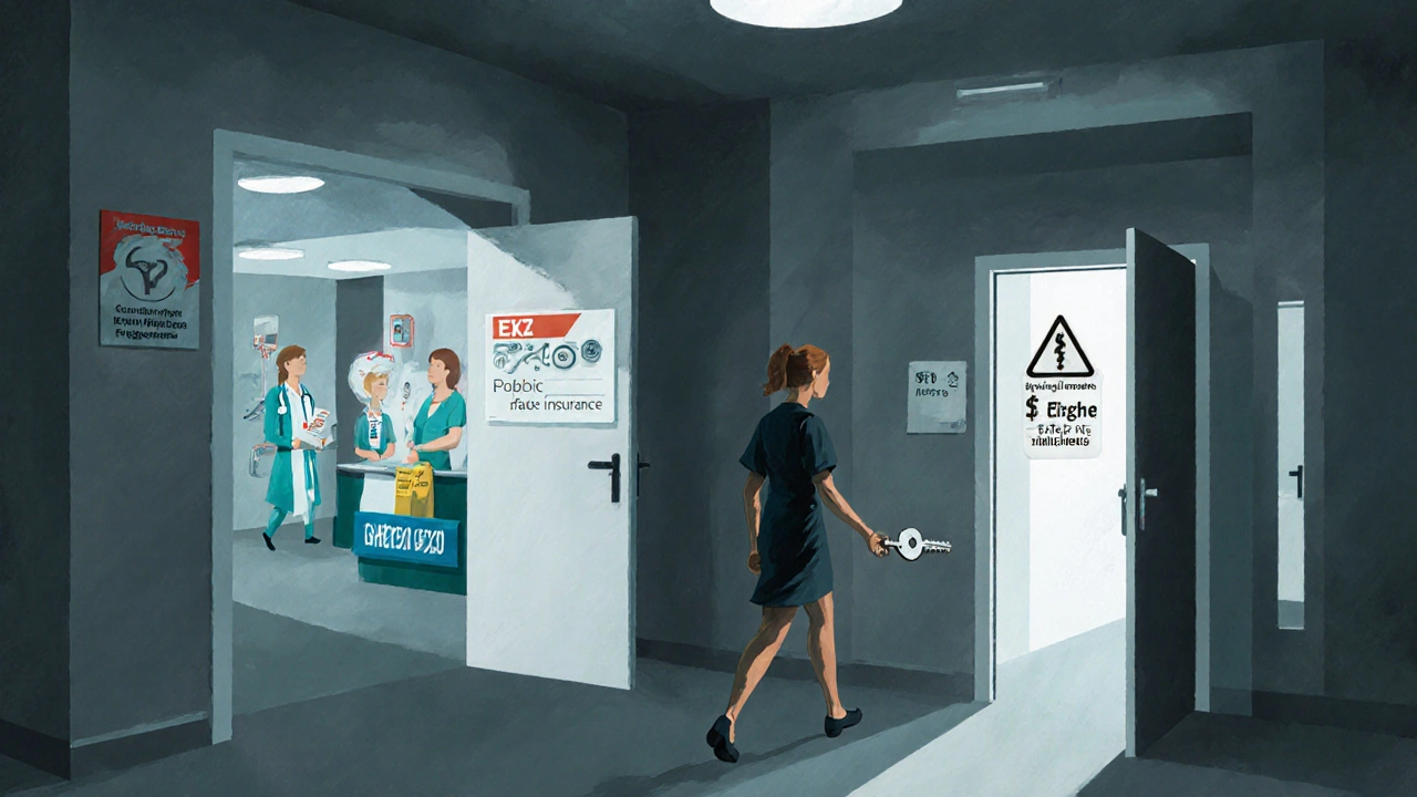 Žena v chodbě s dveřmi označenými službami — jedny jsou hrazené, jiné ne.