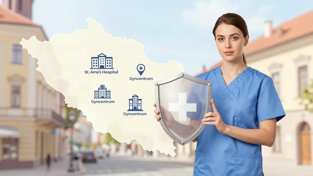 Žena před stylizovanou mapou Brna s ikonami zdravotnických zařízení